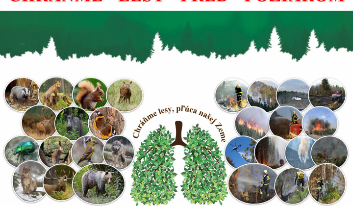 Ochrana lesov pred požiarmi.